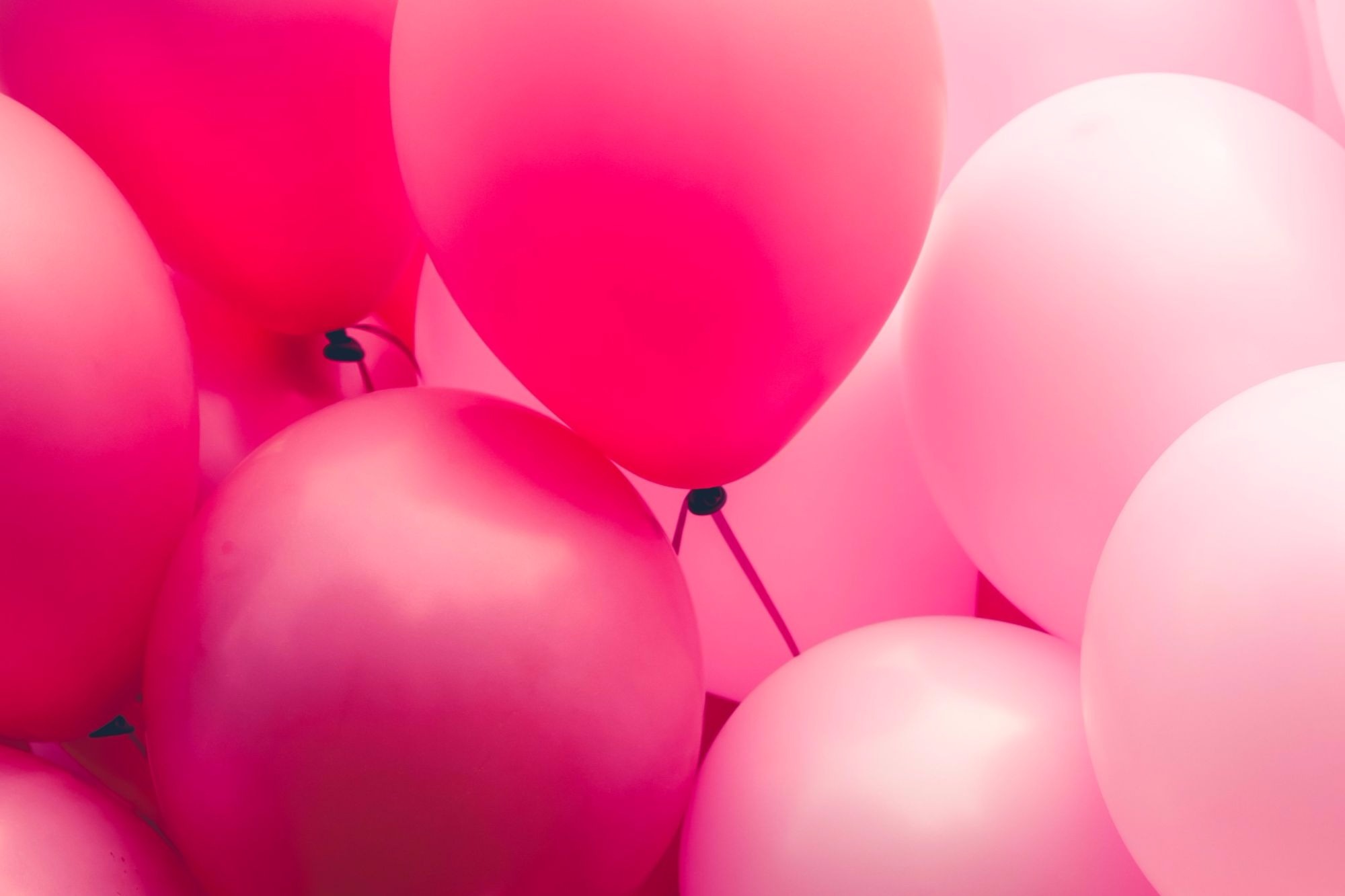 hot pink balloons black twine hot pink balloons black twine